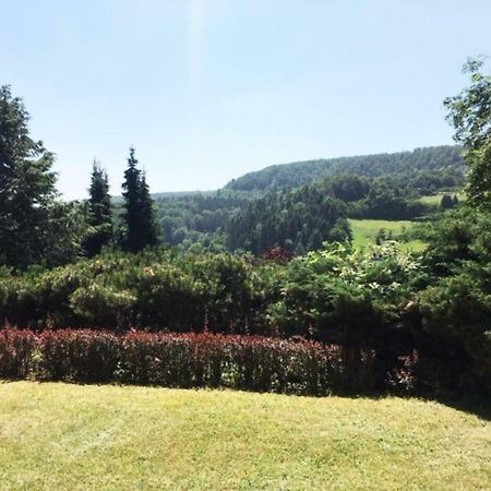 Ferienwohnung Detmold Buitenkant foto